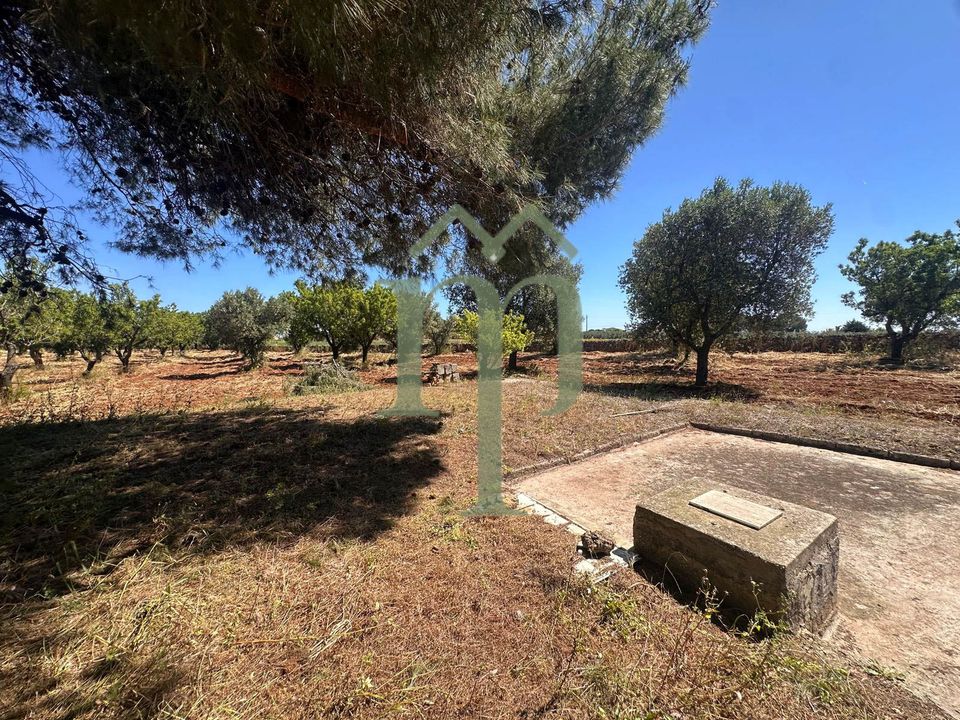 Helårsgrund i Carovigno, Brindisi - foto 4